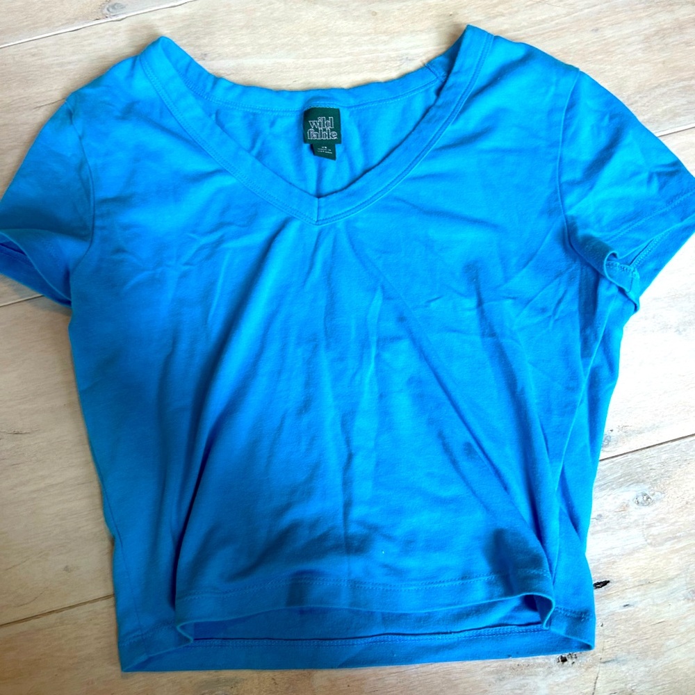 Wild Fable blue crop top
